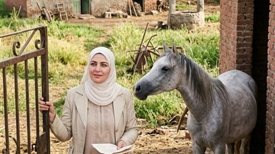 قصة بعد 12سنة